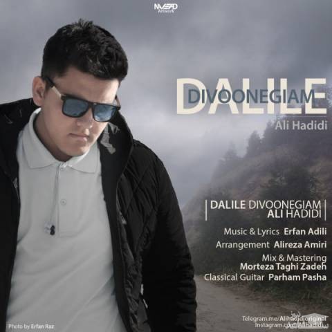 دانلود آهنگ دلیل دیوونگی هام از علی حدیدی