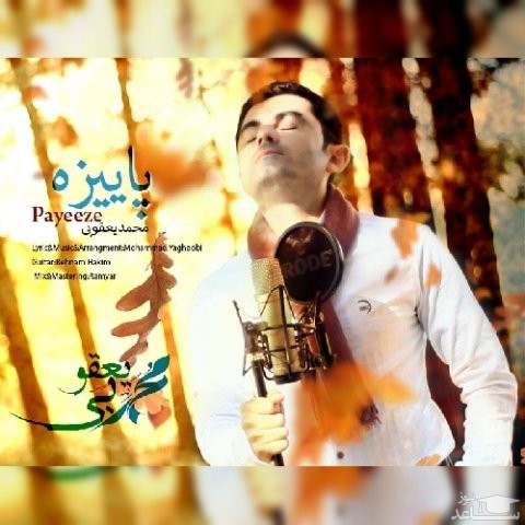 دانلود آهنگ پاییزه از محمد یعقوبی