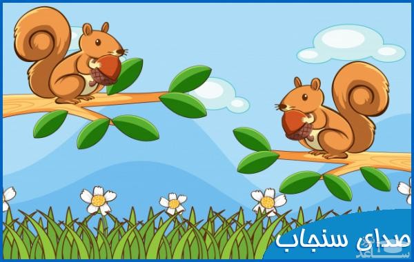 دانلود آهنگ سنجاب از افکت صوتی انسان و موجودات زنده