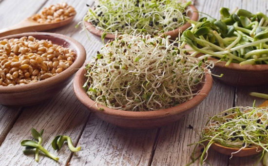 صورتی زیبا با این جوانه ها