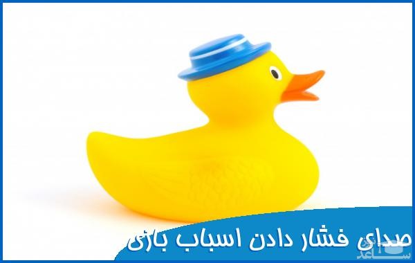 دانلود آهنگ اردک 1 از افکت صوتی اشیاء
