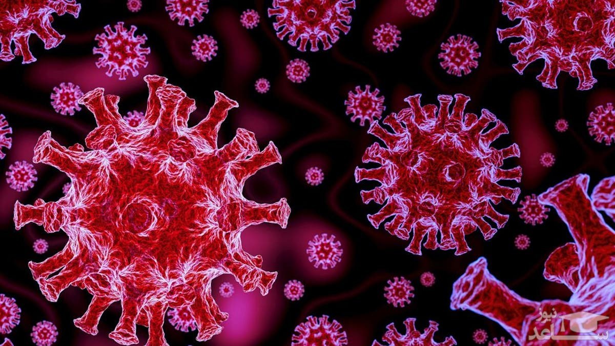 تازه‌ترین آمار از مبتلایان و فوتی‌های کرونا در ایران در 24 شهریور