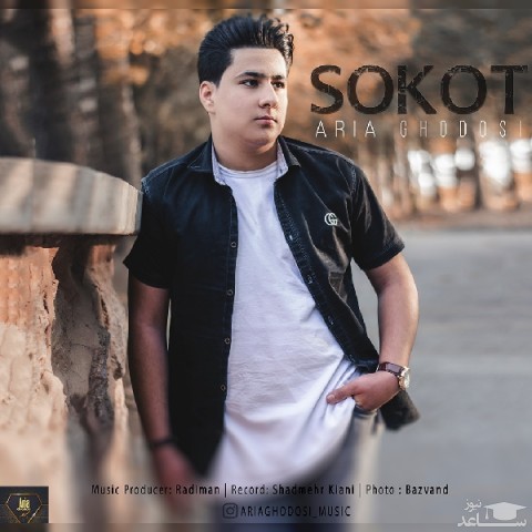 دانلود آهنگ سکوت از آریا قدوسی