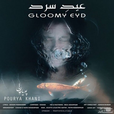 دانلود آهنگ عید سرد از پوریا خانی