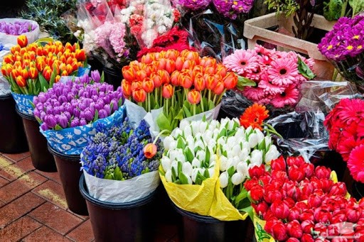 قیمت انواع گل در آستانه روز مادر اعلام شد