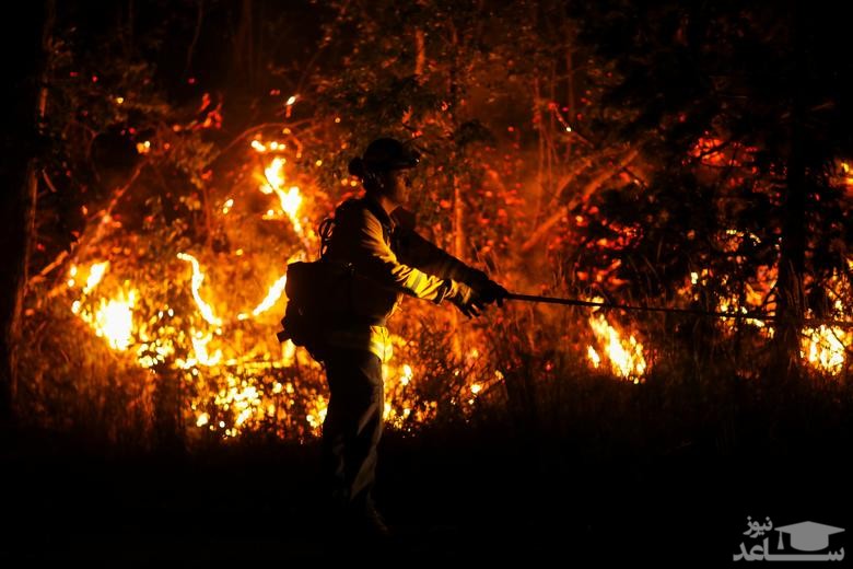 تلاش آتش نشانان برای فرونشاندن آتش سوزی جنگلی در ایالت کالیفرنیا آمریکا/ رویترز
