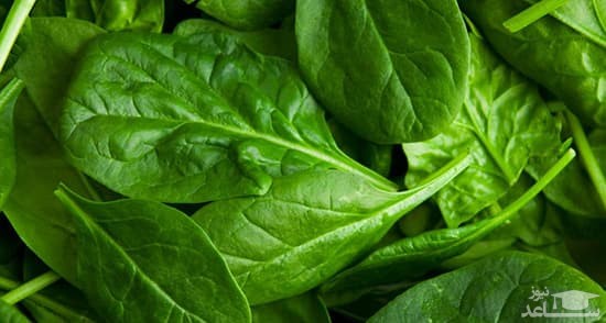 خواص اسفناج و نحوه مصرف آن