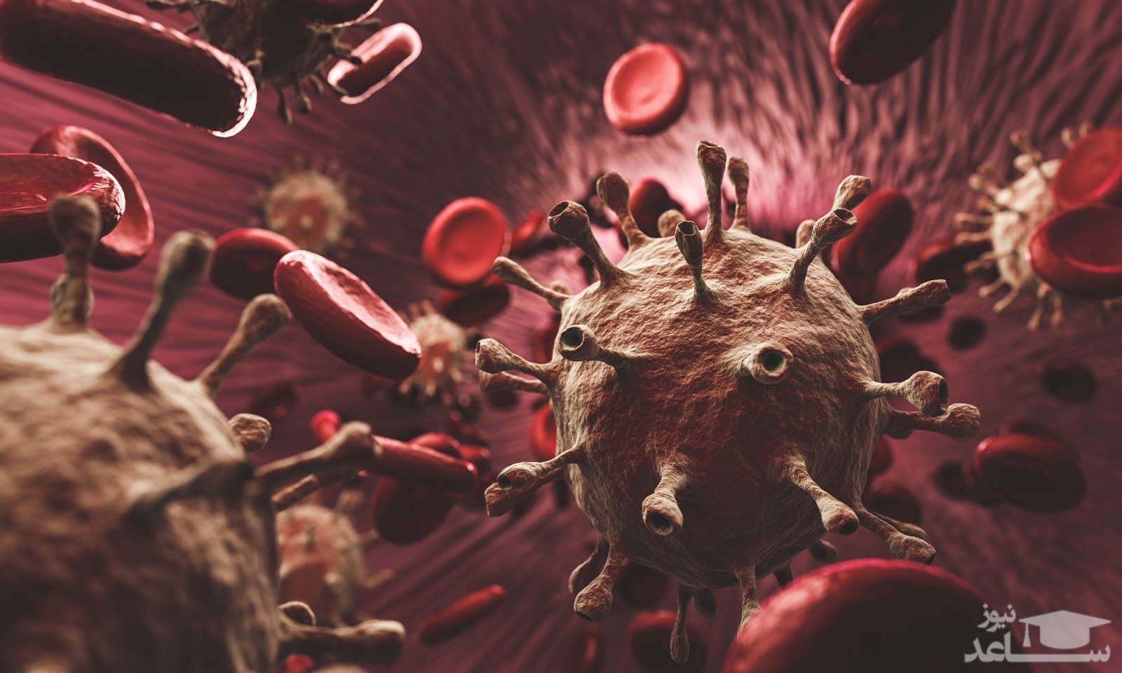 شناسایی قطعی یک مورد کرونای انگلیسی در آذربایجان شرقی 