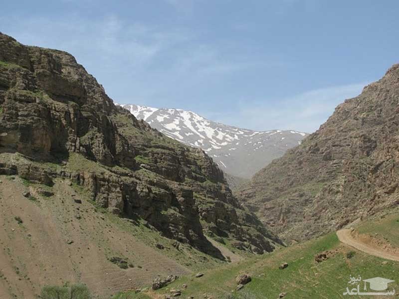 تصویر