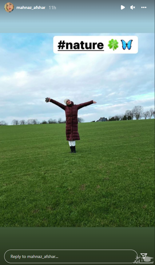 مهناز افشار