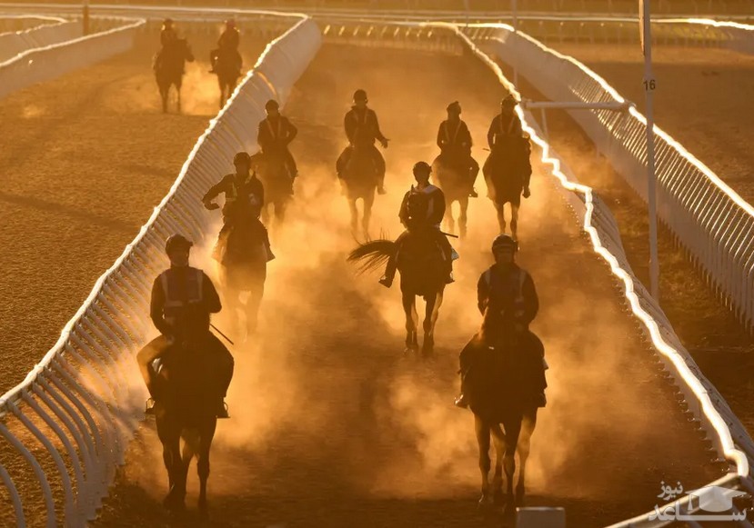مسابقات اسب سواری در ملبورن استرالیا/ گتی ایمجز