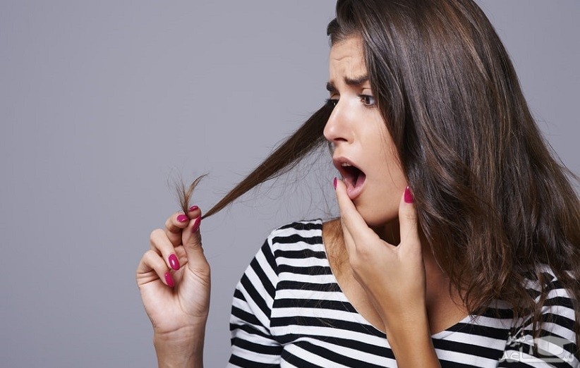 آیا روغن زیتون می تواند باعث رشد سریع موها شود؟