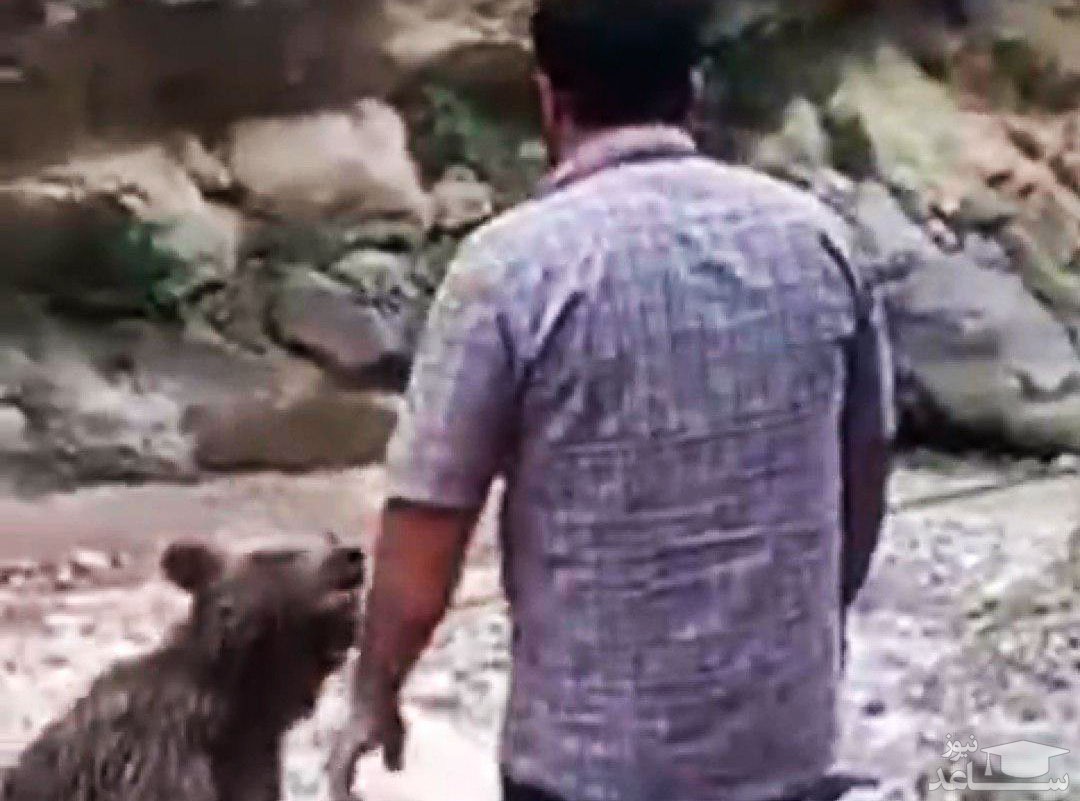 ماجرای جنجالی کشتن یک توله خرس در سوادکوه
