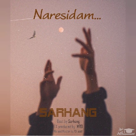 دانلود آهنگ نرسیدم از سرهنگ