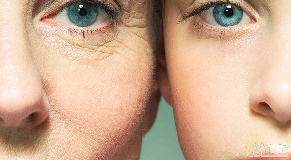 اکسیرهای جوانی را بشناسید