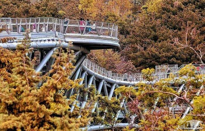 پارک طالقانی در فصل پاییز