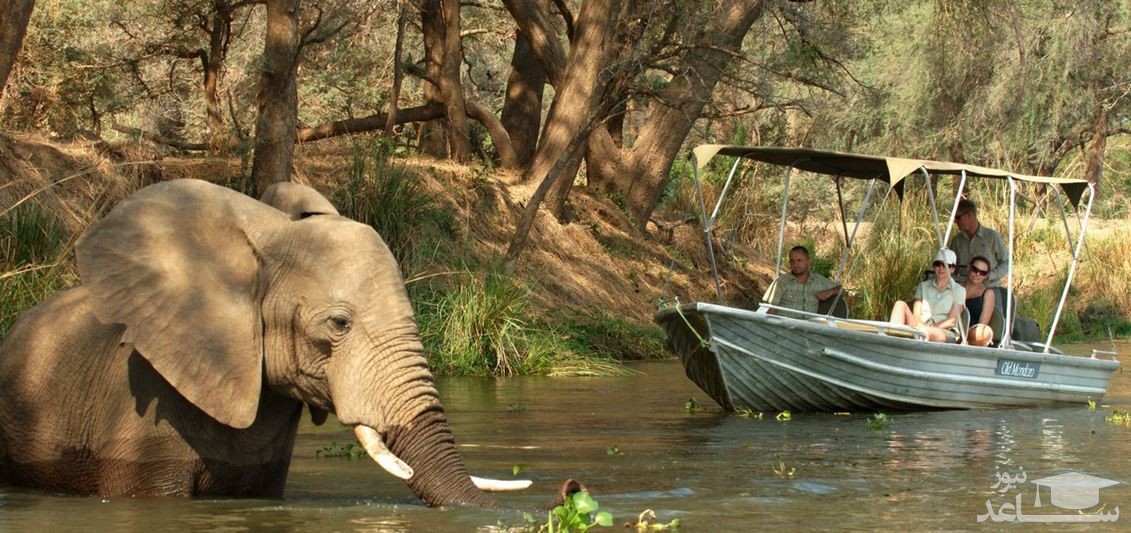 پارک ملی لانگوا جنوبی