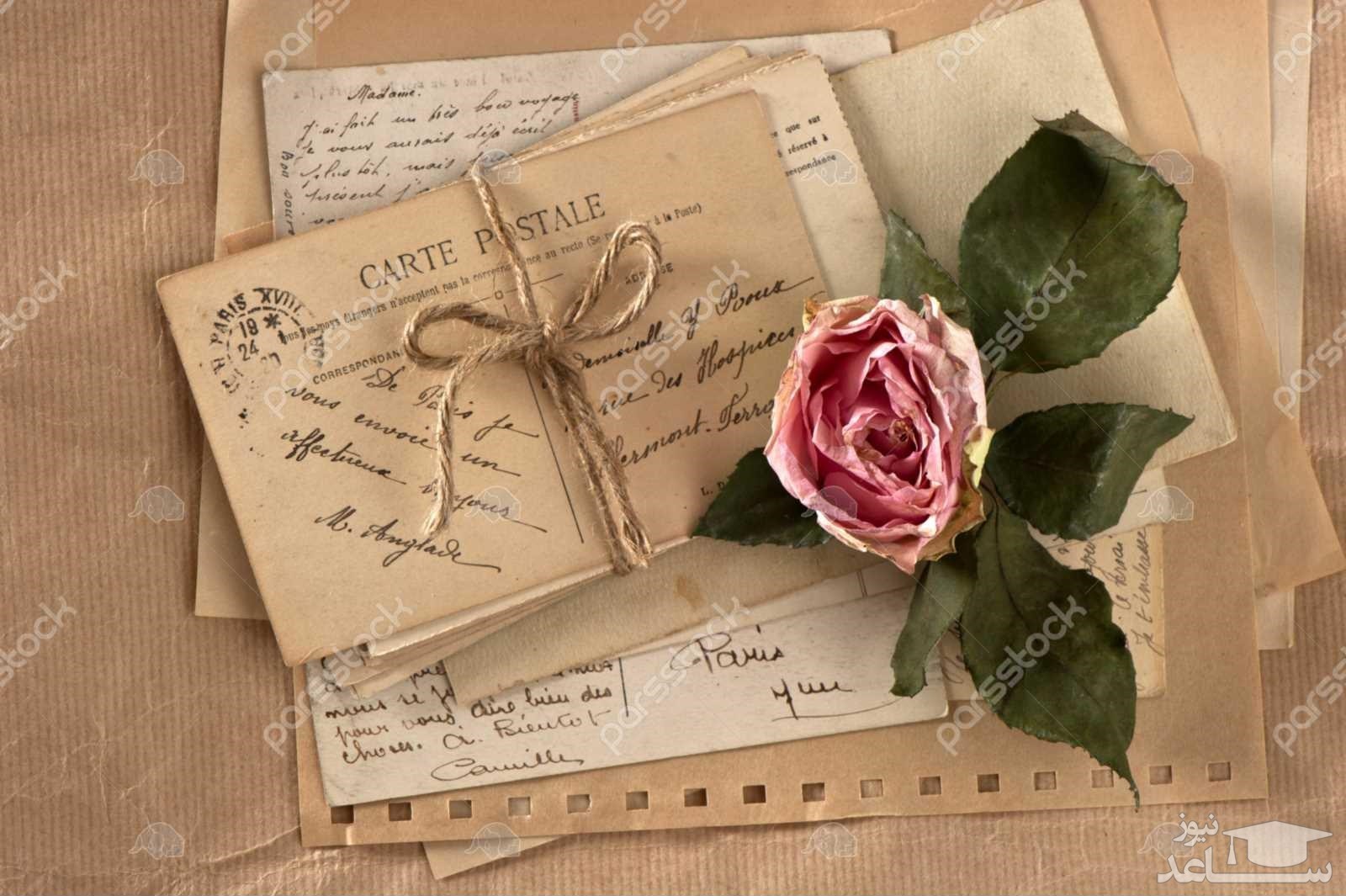 ۵ نامه برتر گاردین
