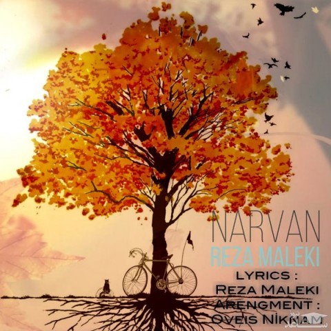 دانلود آهنگ نارون از رضا ملکی