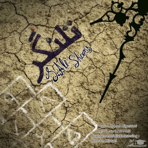 دانلود آهنگ تلنگر از سید علی شمس