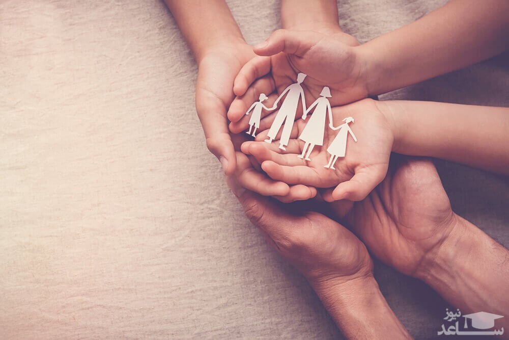 نسب چیست و انواع آن کدامند؟