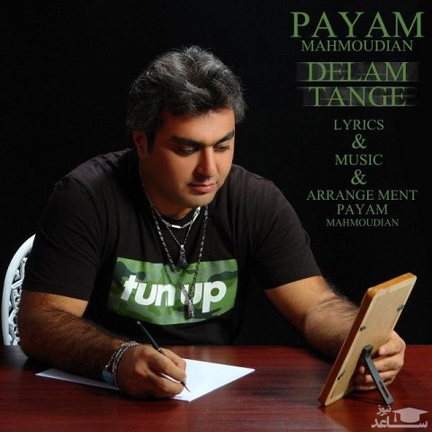 دانلود آهنگ دلم تنگه از پیام محمودیان