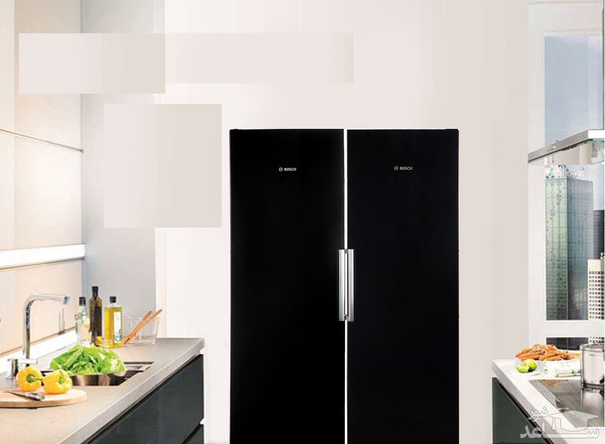 یخچال فریزر دوقلو بوش KSV36VB304-GSN36VB304
