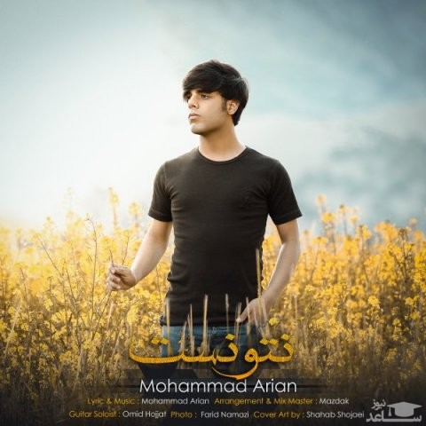 دانلود آهنگ نتونست از محمد آرین
