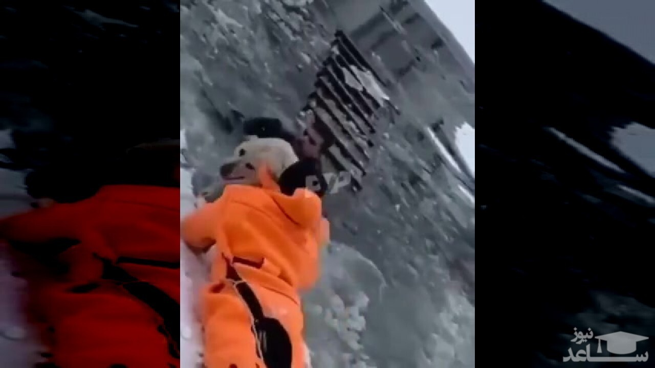 (فیلم) نجات یک سگ از وسط دریاچه یخ زده