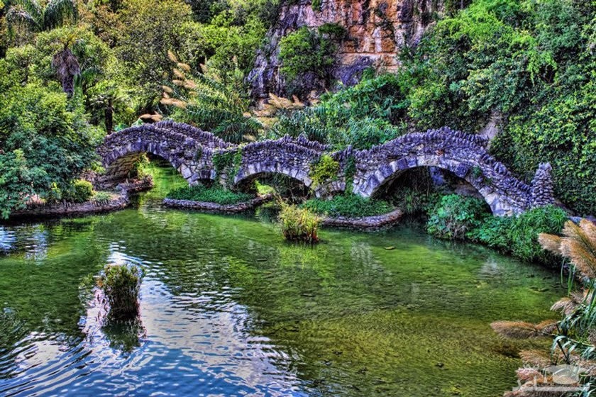 باغ چای ژاپنی