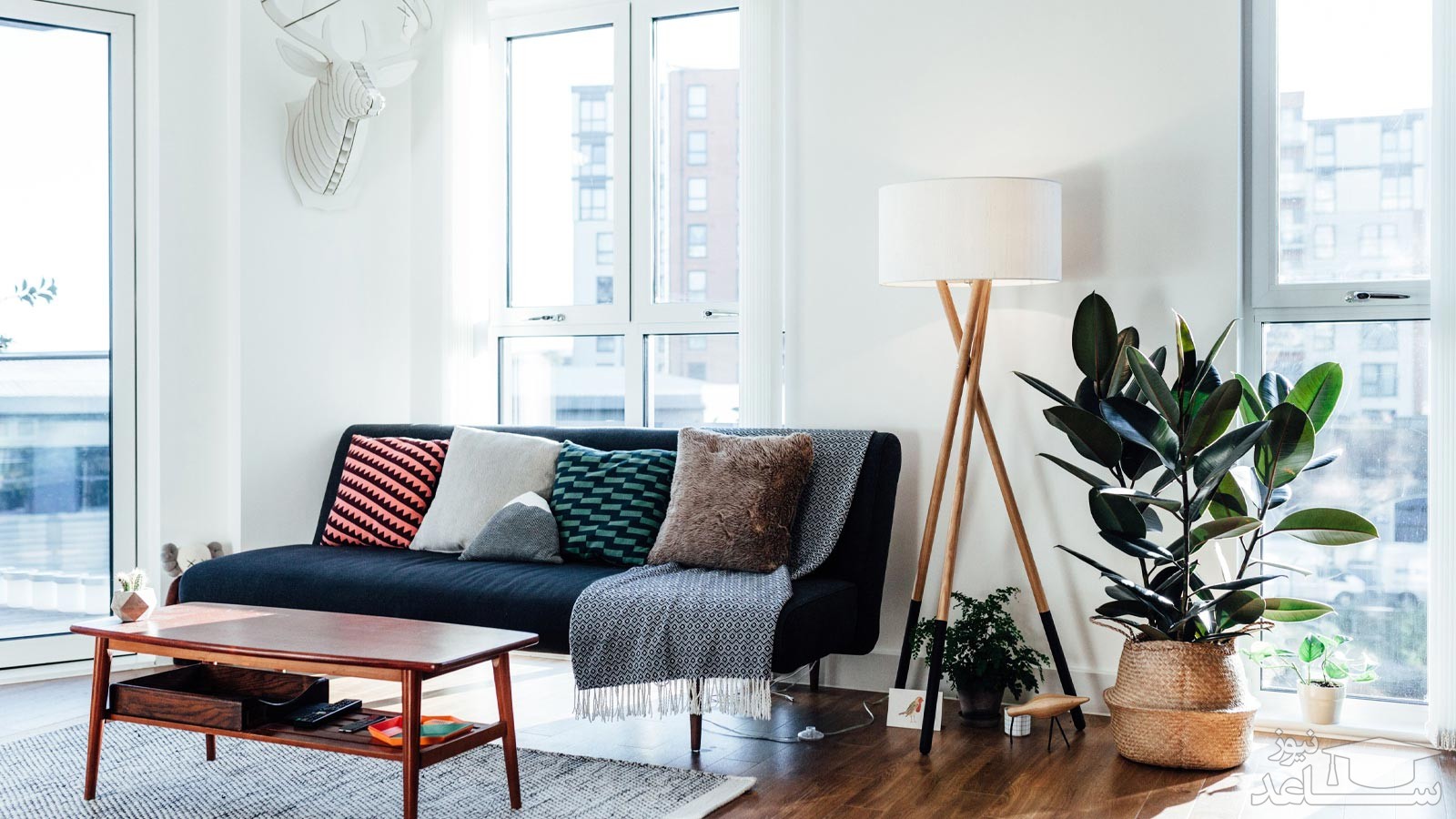 تاثیر عجیب فنگ شویی در دکوراسیون منزل