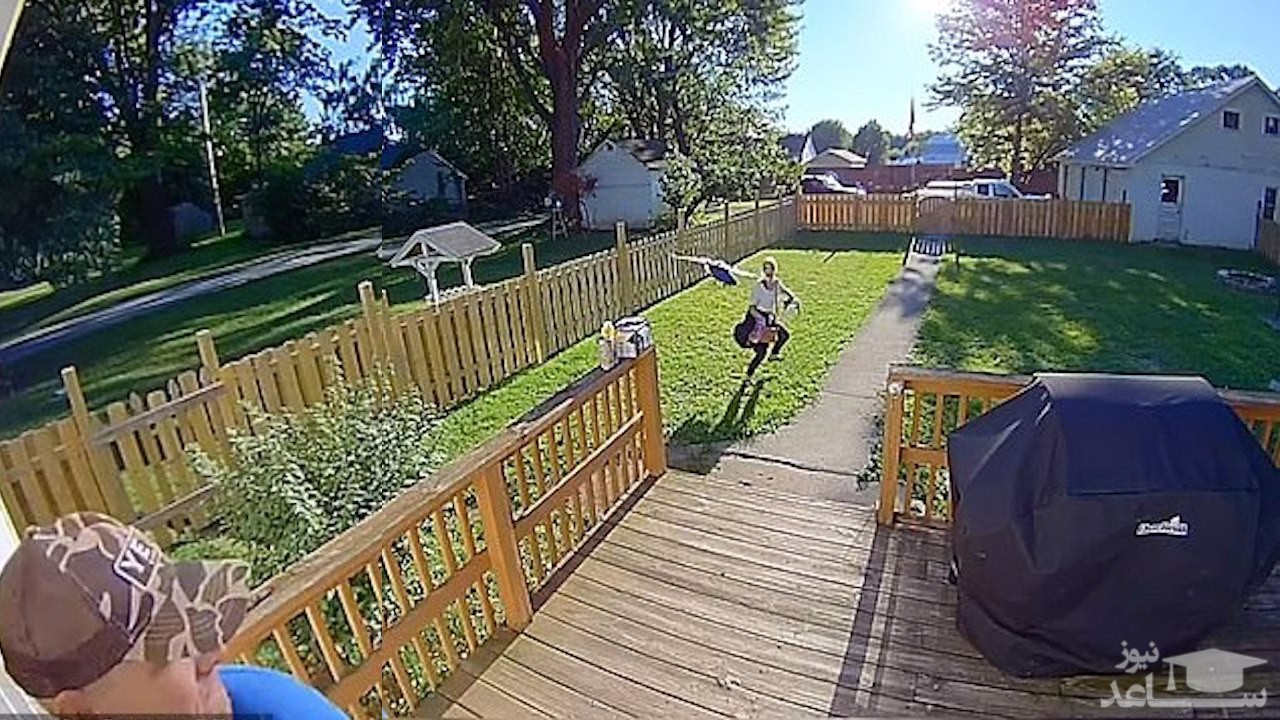 (فیلم) حمله وحشتناک کلاغ به همسایه‌ها