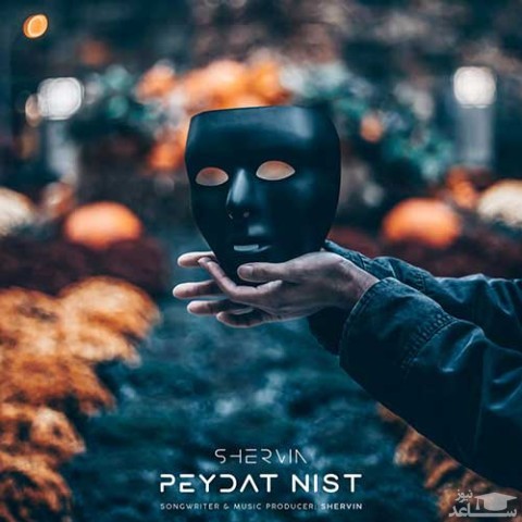 دانلود آهنگ پیدات نیست از شروین حاجی پور