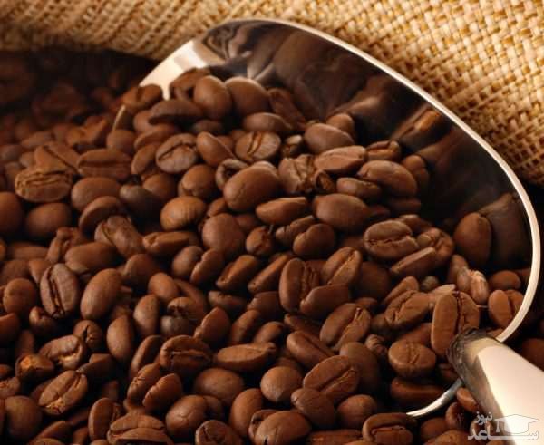 نحوه کاشت و پرورش قهوه
