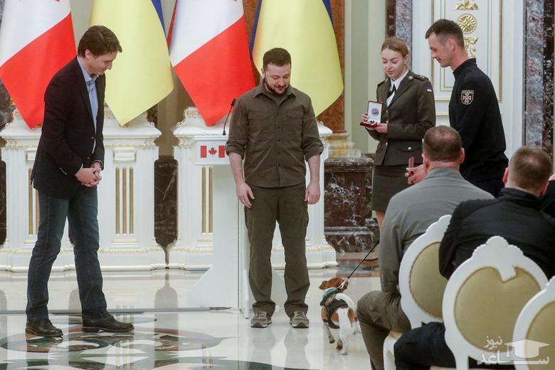 اعطای مدال از سوی رییس جمهوری اوکراین به سگ مین یاب ارتش اوکراین در نشست خبری مشترک با نخست وزیر کانادا در شهر "کی یف"/ رویترز