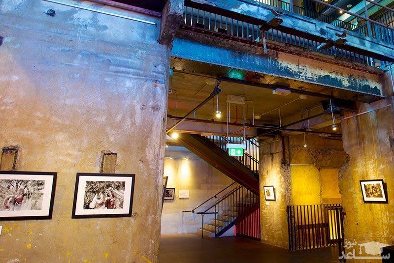 پارک نیو فارم و پاورهاوس