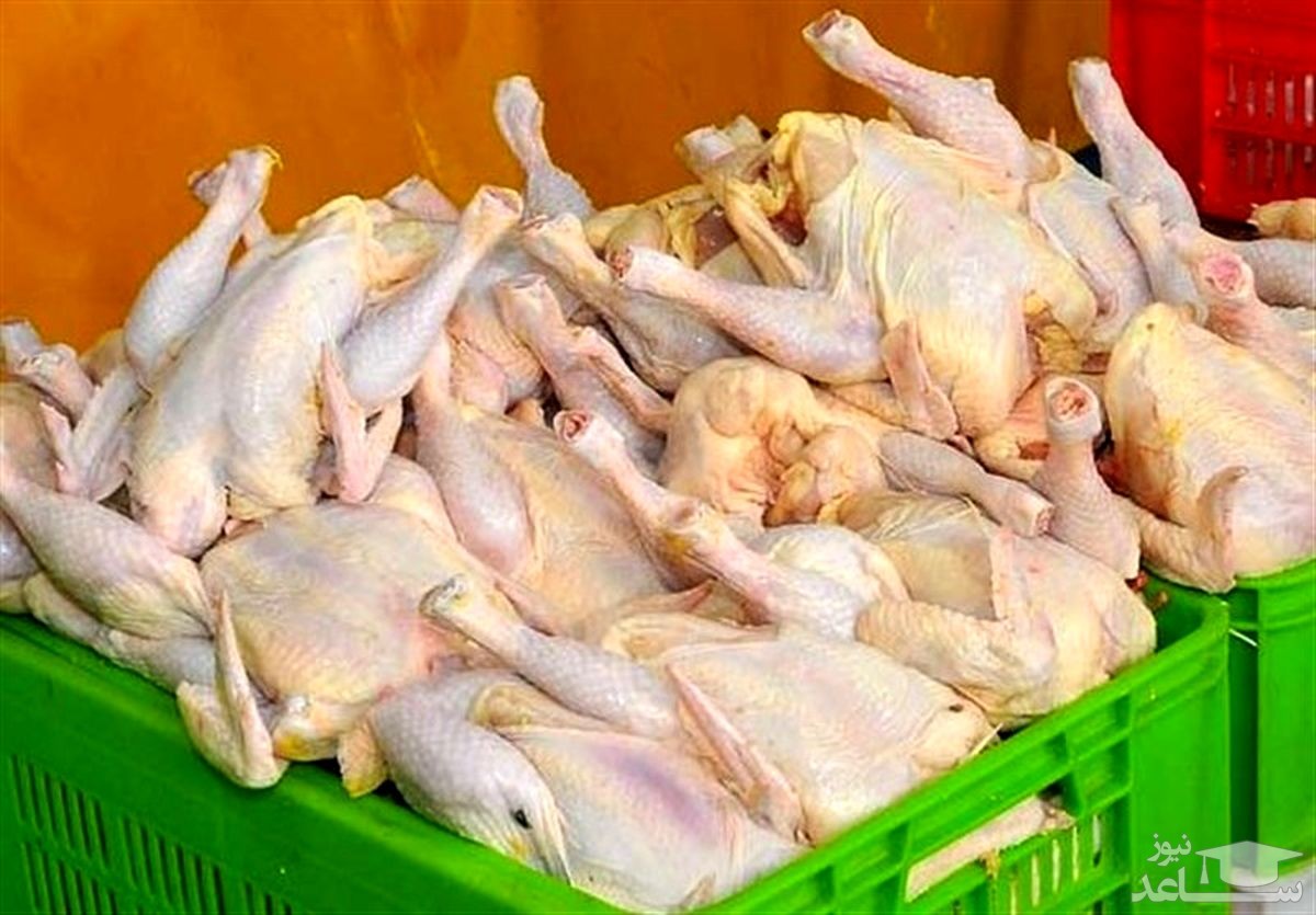 کاهش قیمت مرغ تا ۱۰ روز آینده