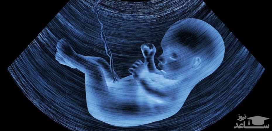 چه زمانی باید به سونوگرافی بارداری رفت؟