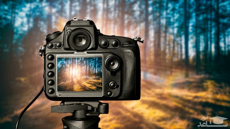 دوربین دیجیتال نیکون مدل D7500