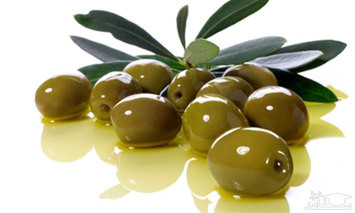زیتون سبز