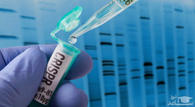 احتمال مرگ زودرس اولین نوزادان مهندسی ژنتیکی شده دنیا