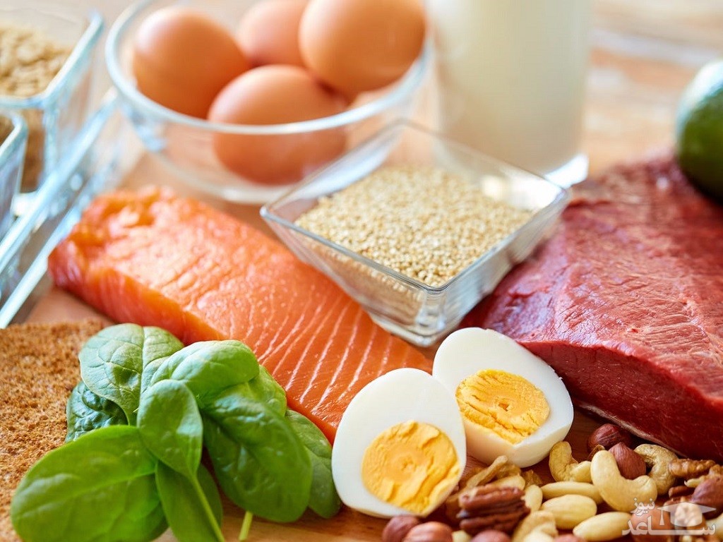 بهترین زمان برای مصرف پروتئین ها را بدانید