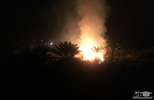 (فیلم) آتش سوزی در کارخانه لبنیاتی کاله