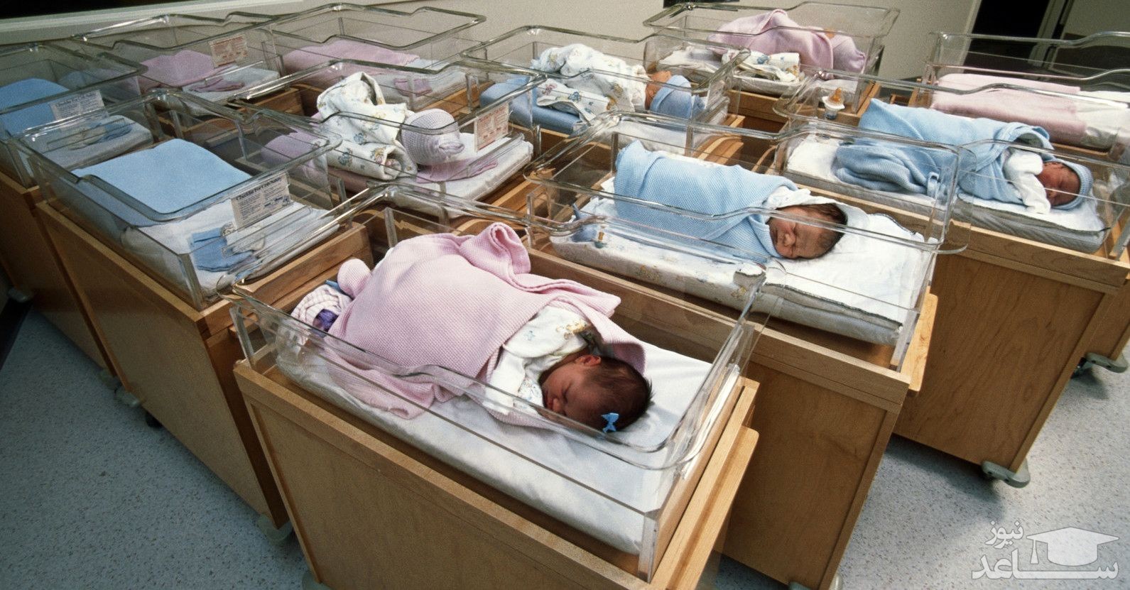 هزینه فرزند جدید در ایران؛ از بارداری تا یک سالگی!
