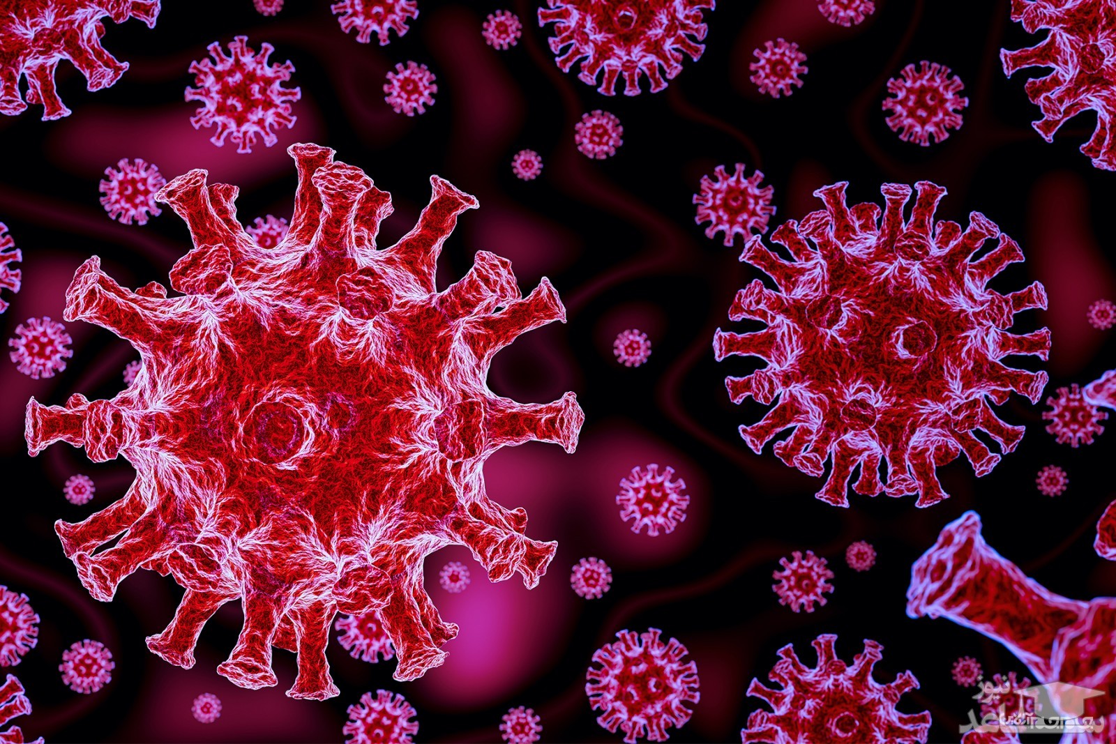 بازگشت موج ترسناک مرگ و میر کرونا