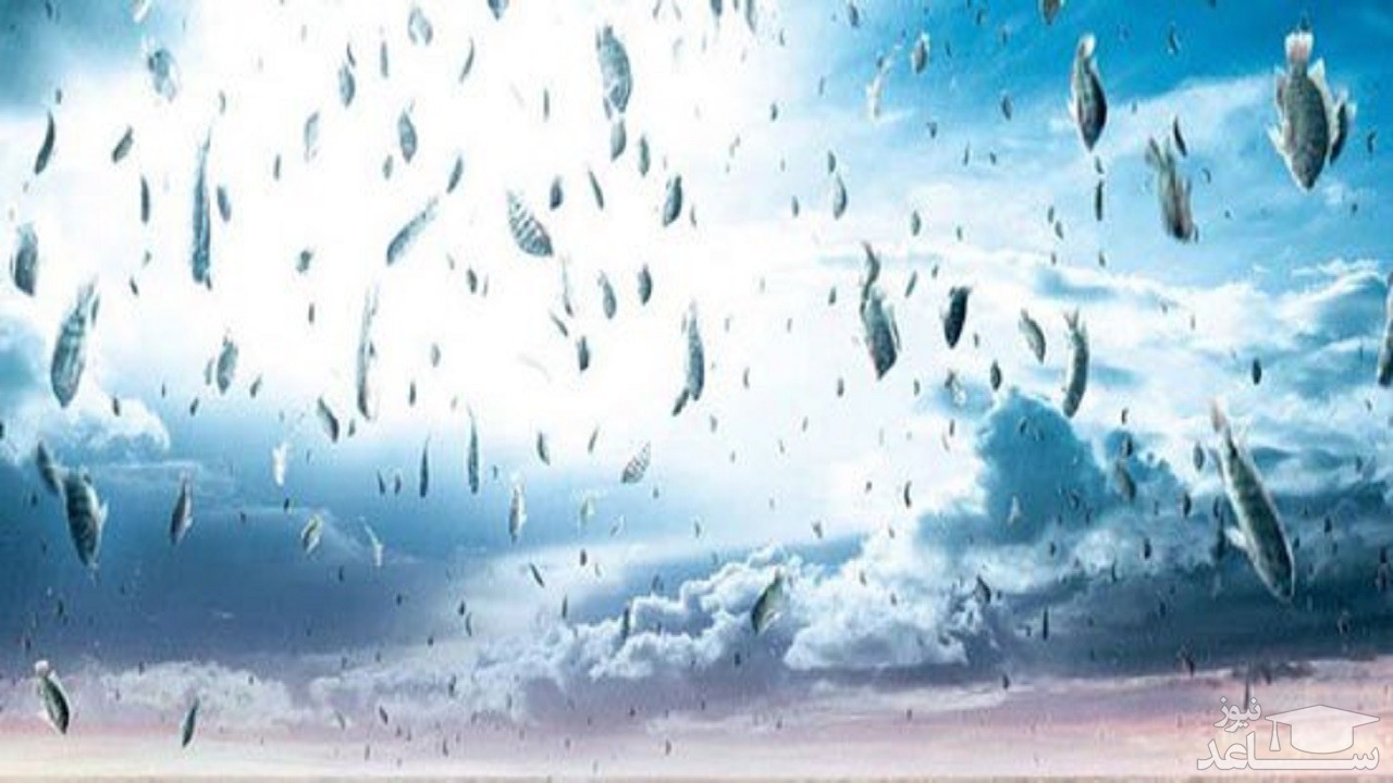 عجیب‌ترین چیز‌هایی که تاکنون از آسمان باریده‌اند/ از بارش گوشت خام تا خون