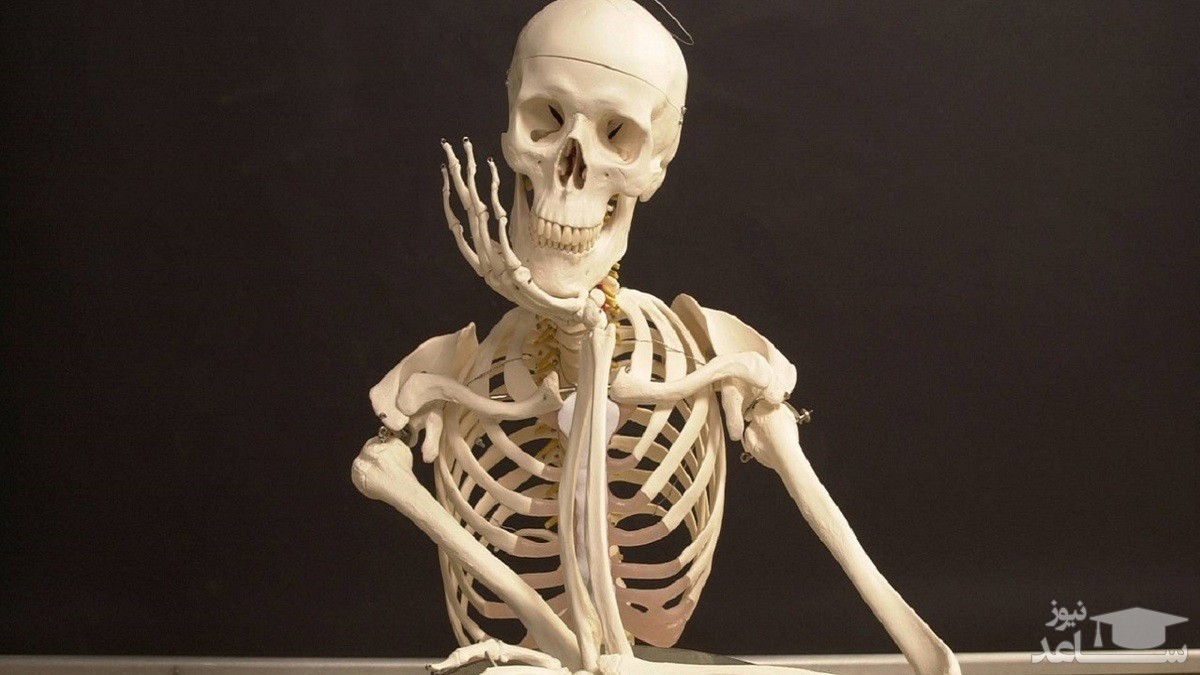 تجارت وحشتناک جوان امریکایی از فروش استخوان انسان