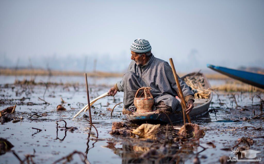 دیدنی های امروز سه شنبه 29 آذر 1401