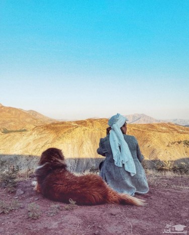 تنهایی دنیا مدنی