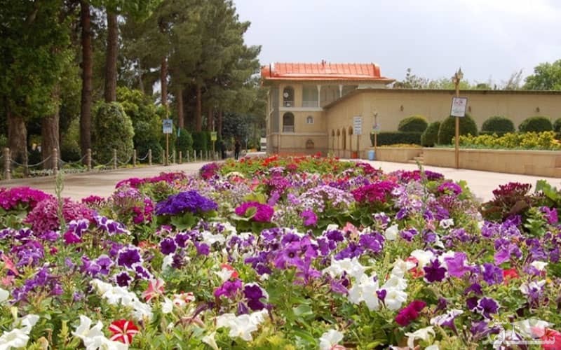 پوشش گیاهی باغ ارم شیراز